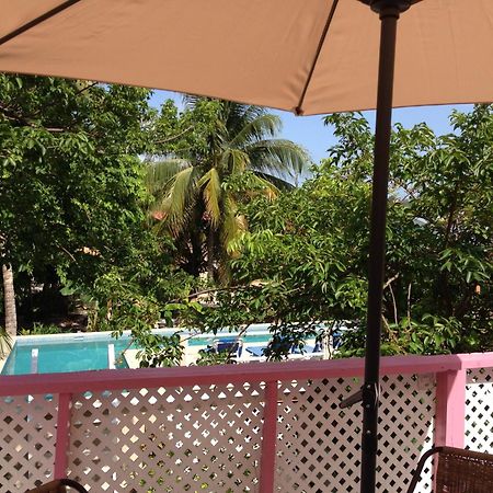 Hummingbirds Cabins Caye Caulker Rum bild