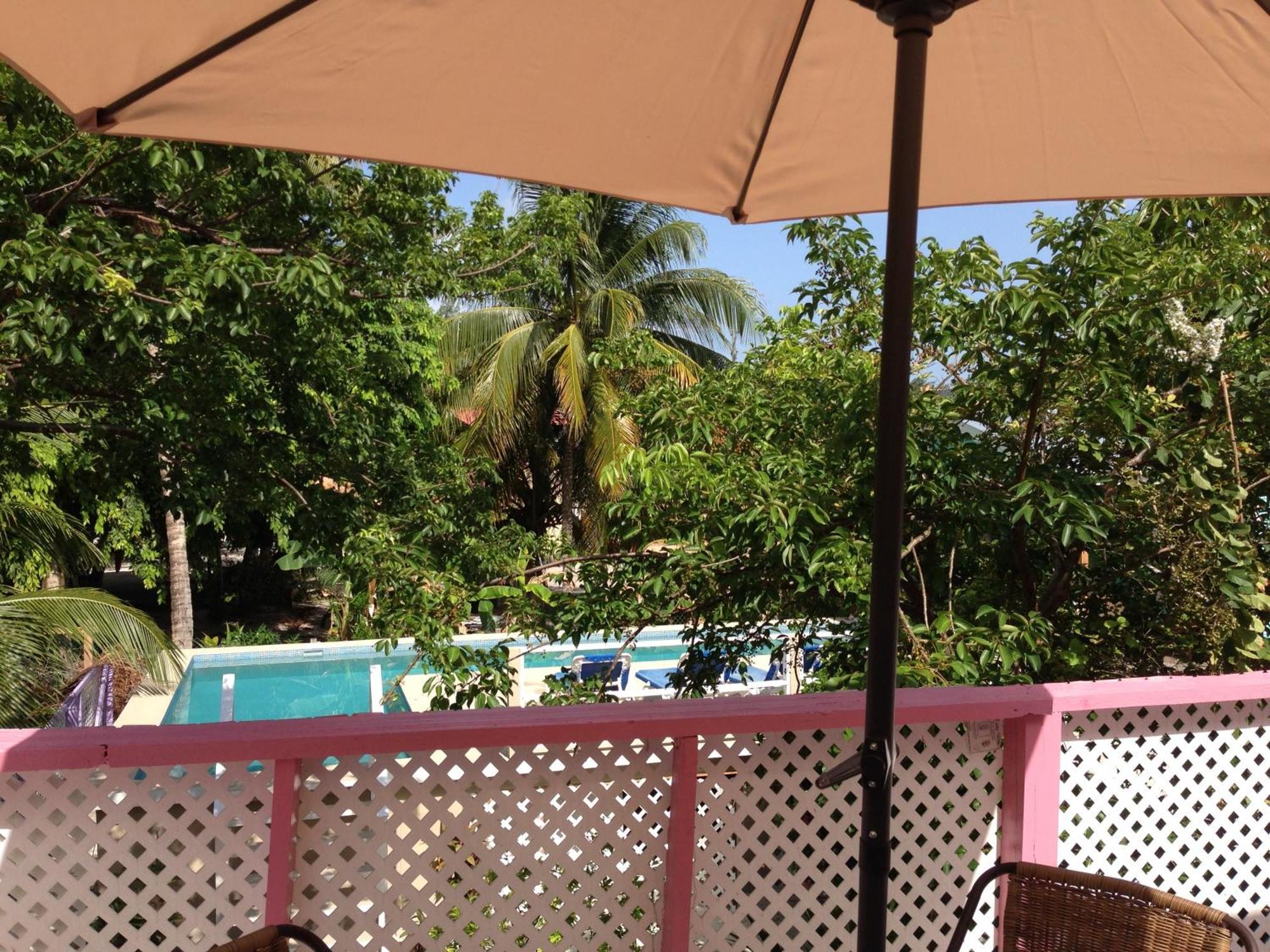 Hummingbirds Cabins Caye Caulker Rum bild