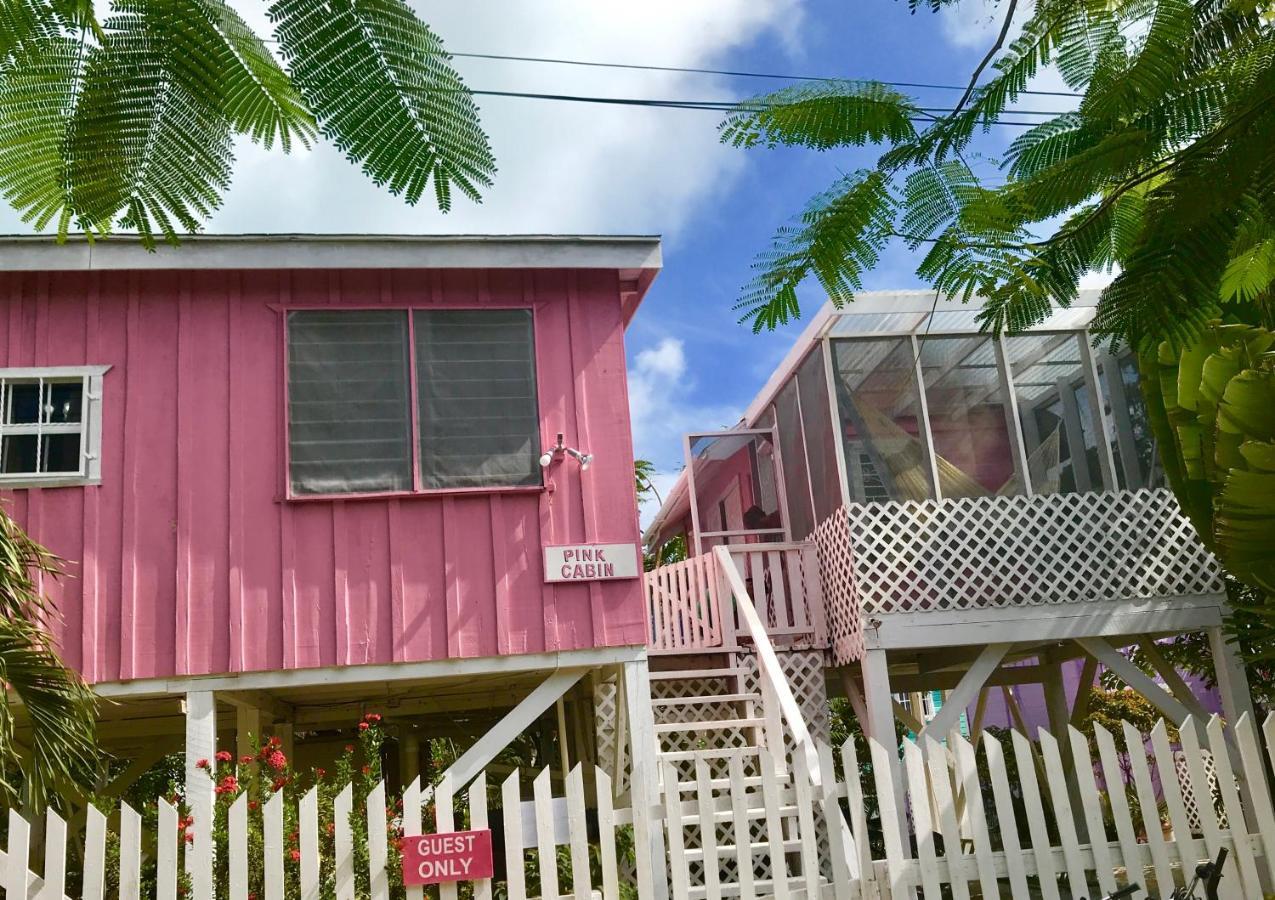 Hummingbirds Cabins Caye Caulker Rum bild